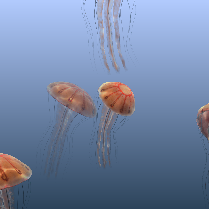 Jellyfish #39