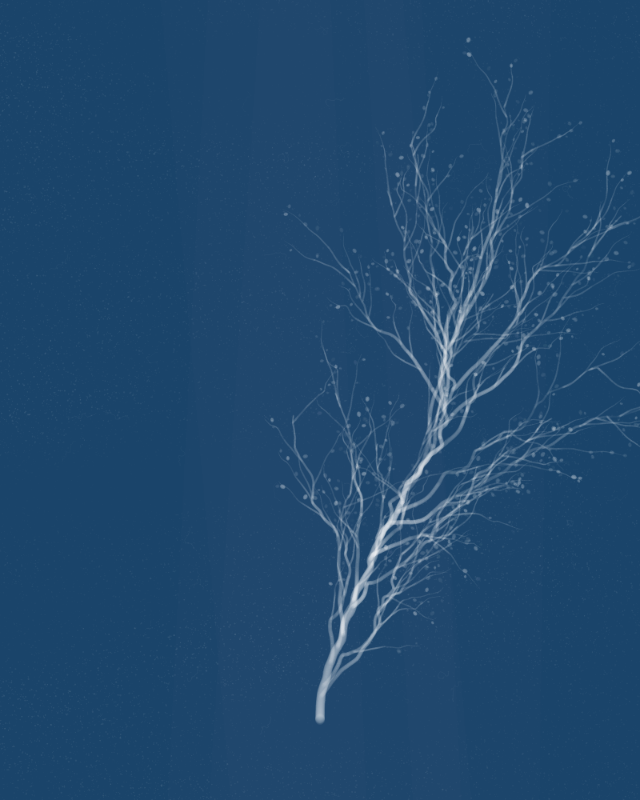 Cyanotypes #107