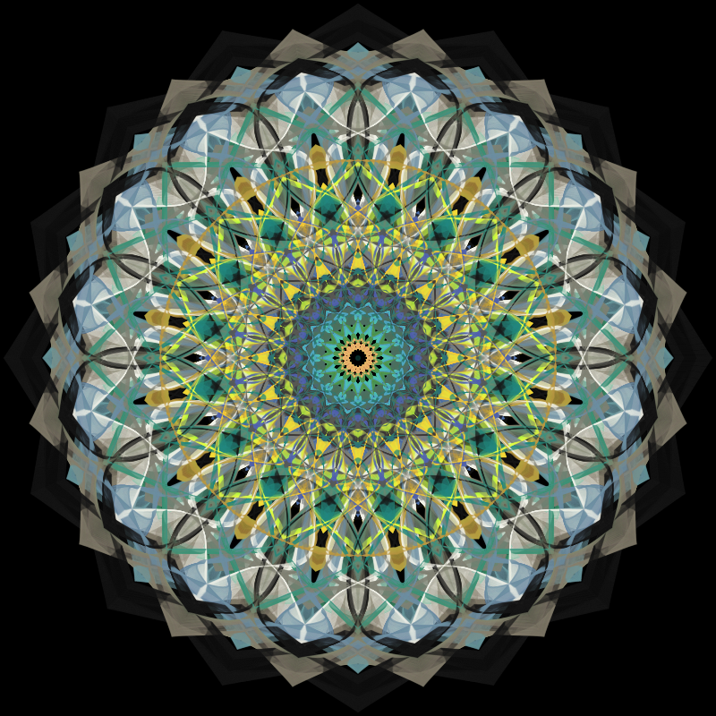 Morphing Mandala - #fxhashturnsone charity #20