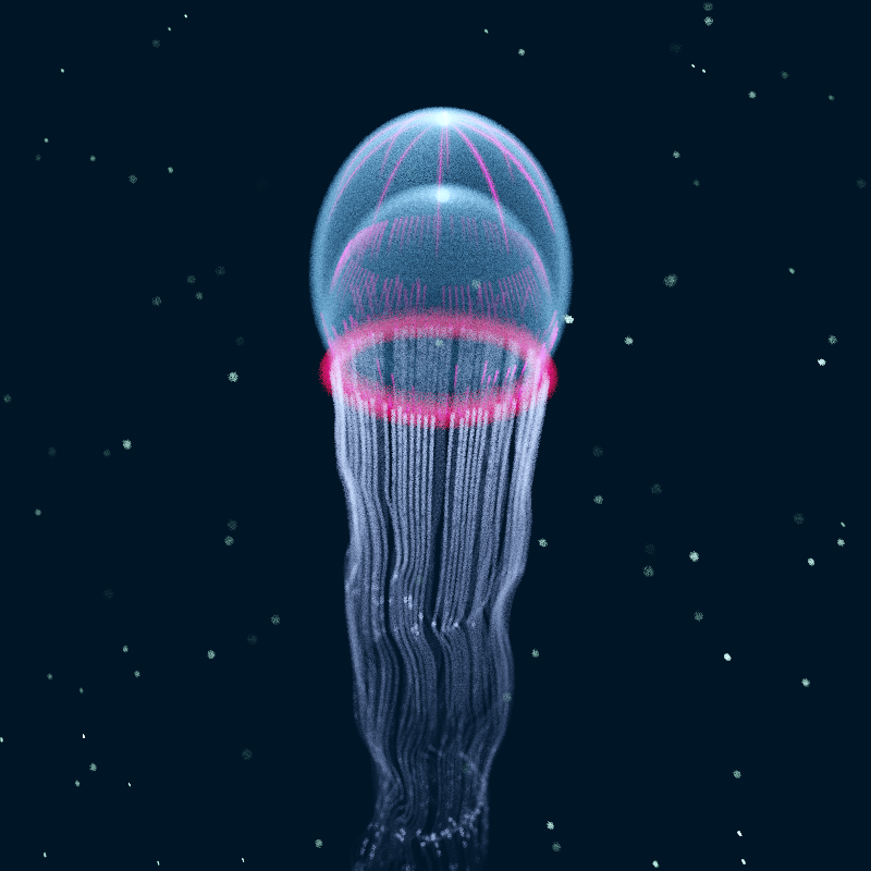 Creatures of the Deep #1 - The Jellyfish #16