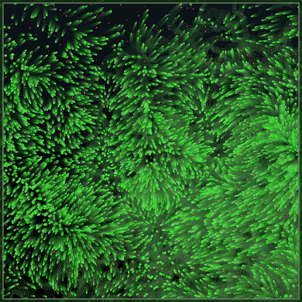 Tezbloom in ocean #24