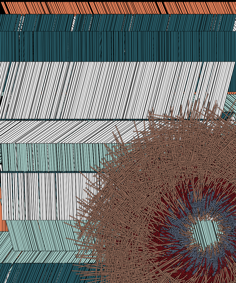 Shavings #151