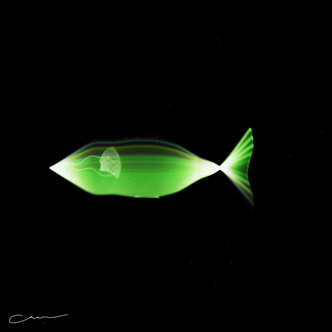 SoulFish #163