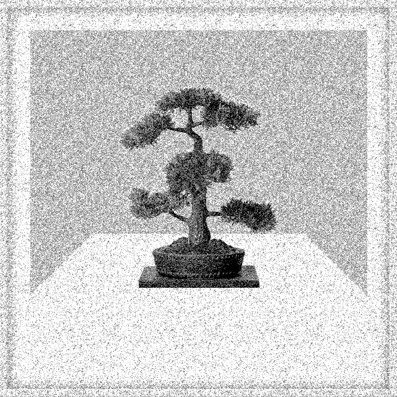 Bonsai Bonanza #666