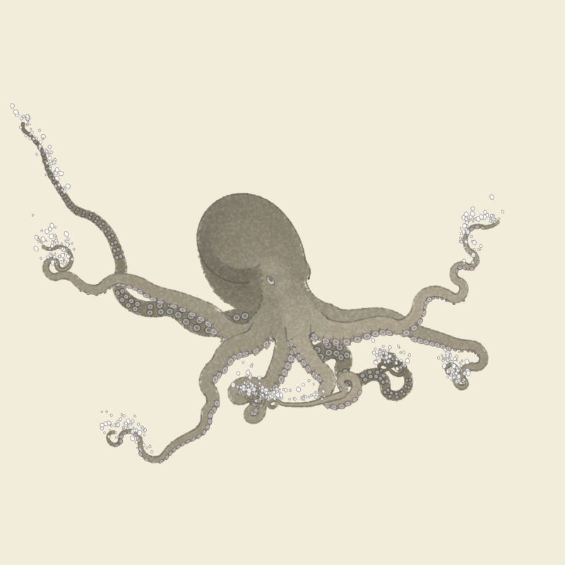 the generative octopuses #33