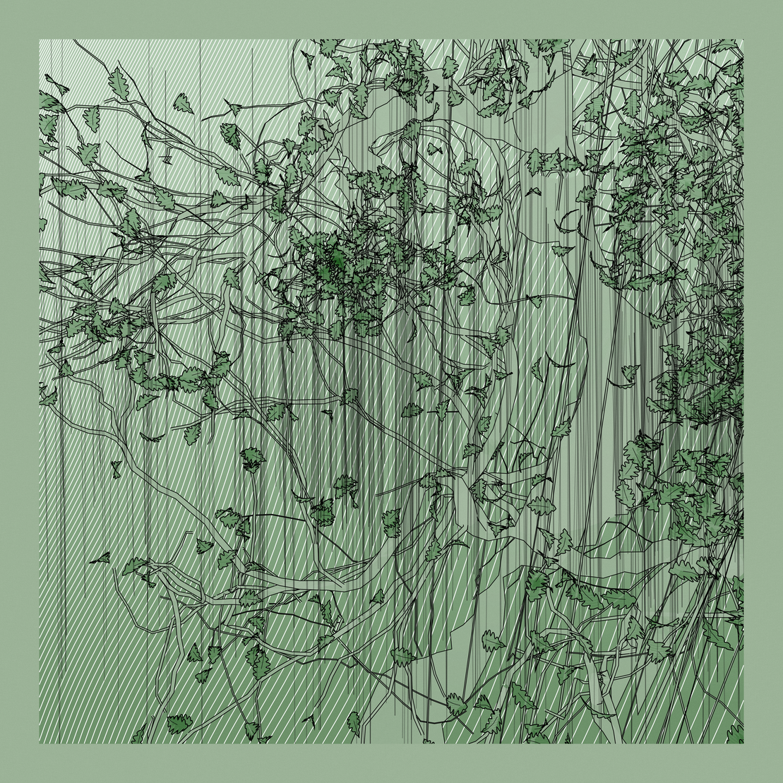 A Bugged Forest #918