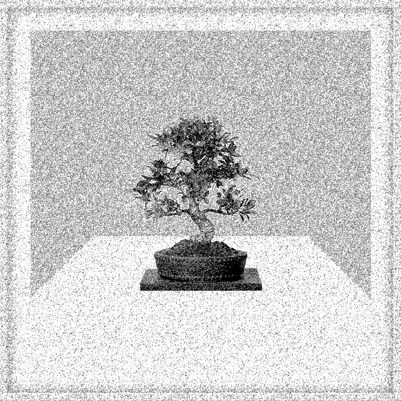 Bonsai Bonanza #461