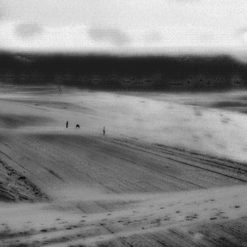 Scrambled Memories #19