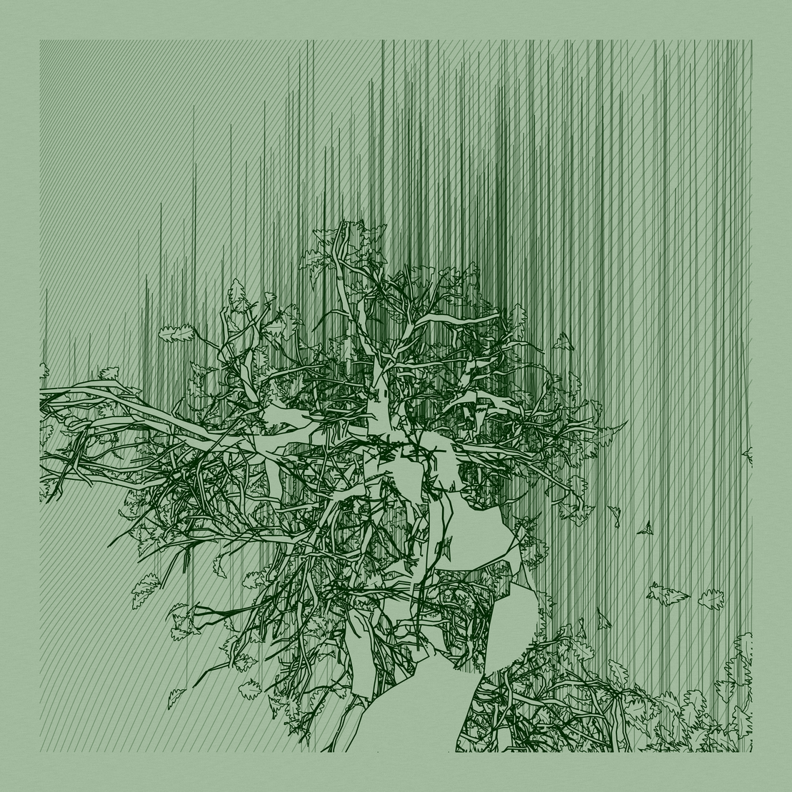 A Bugged Forest #349