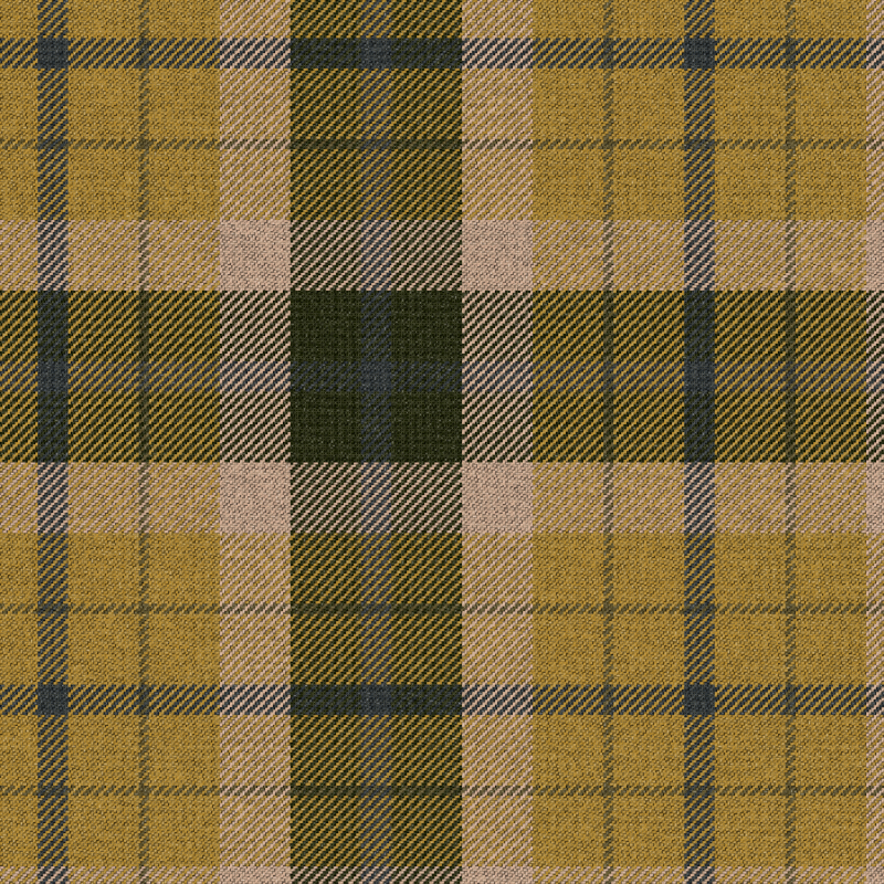 Tartan Cloth #28