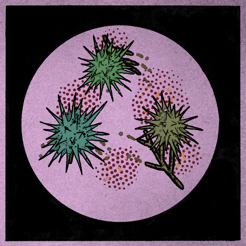 Microbes #93