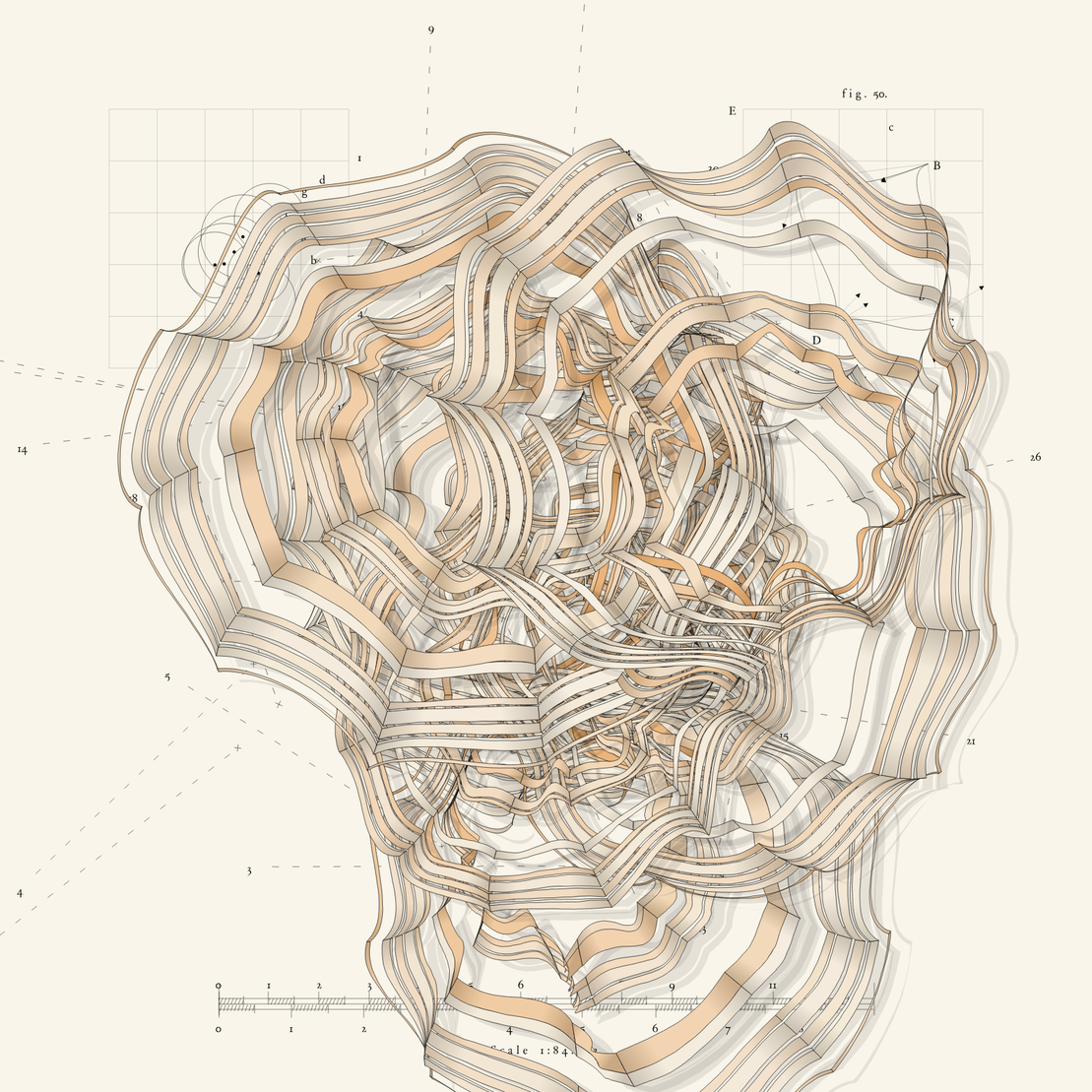 The Anatomy of Fracture #55