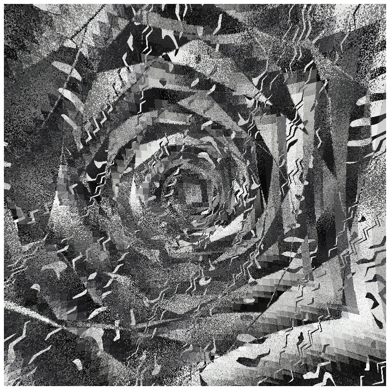 rosette #205