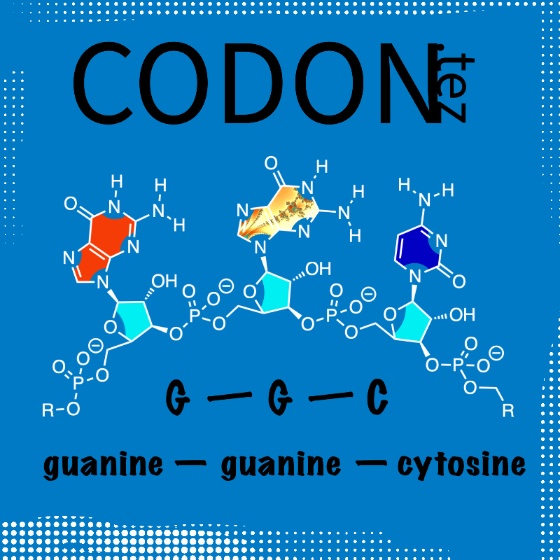 Codon Minter #2