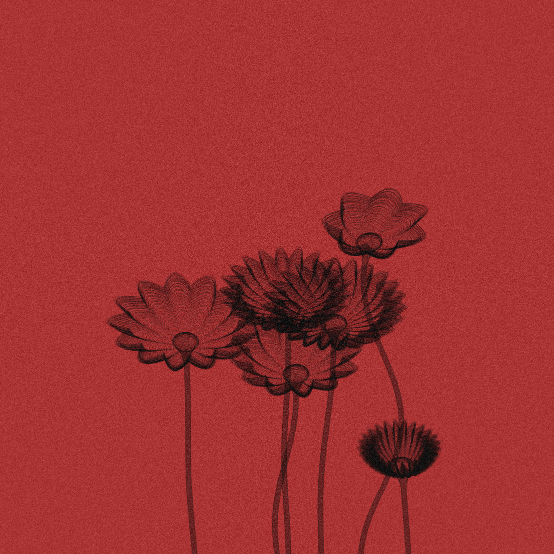 Code Flowers #6