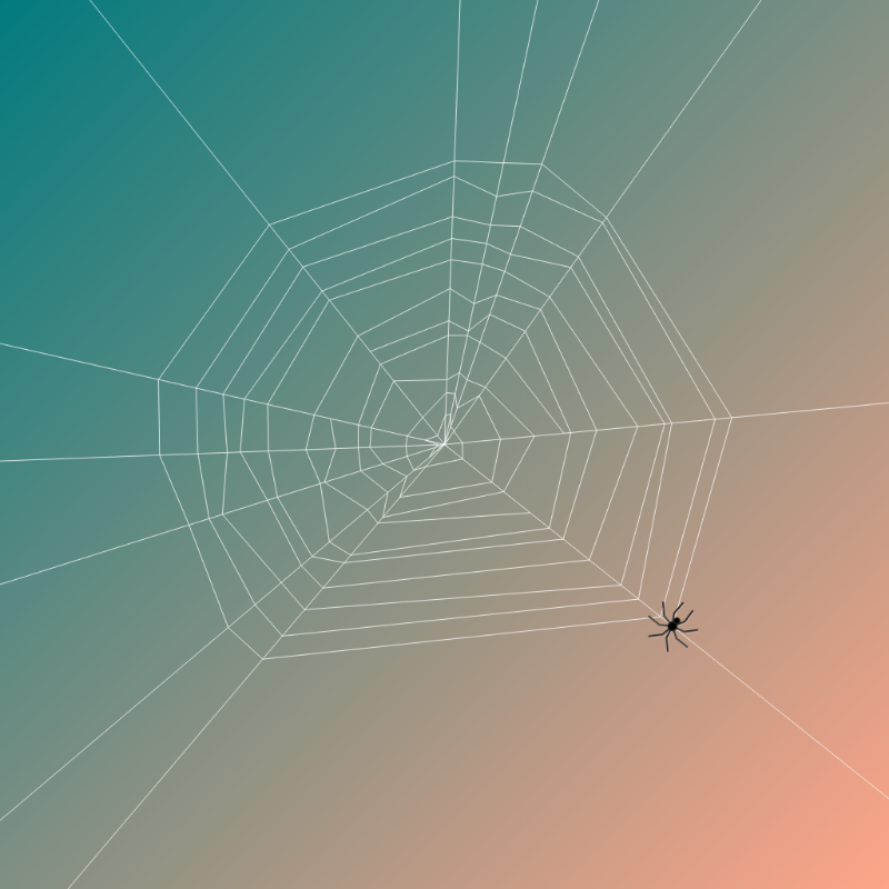 Weaving Spiders #2