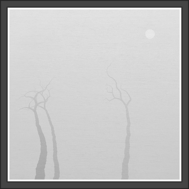 The Foggy Trees #44