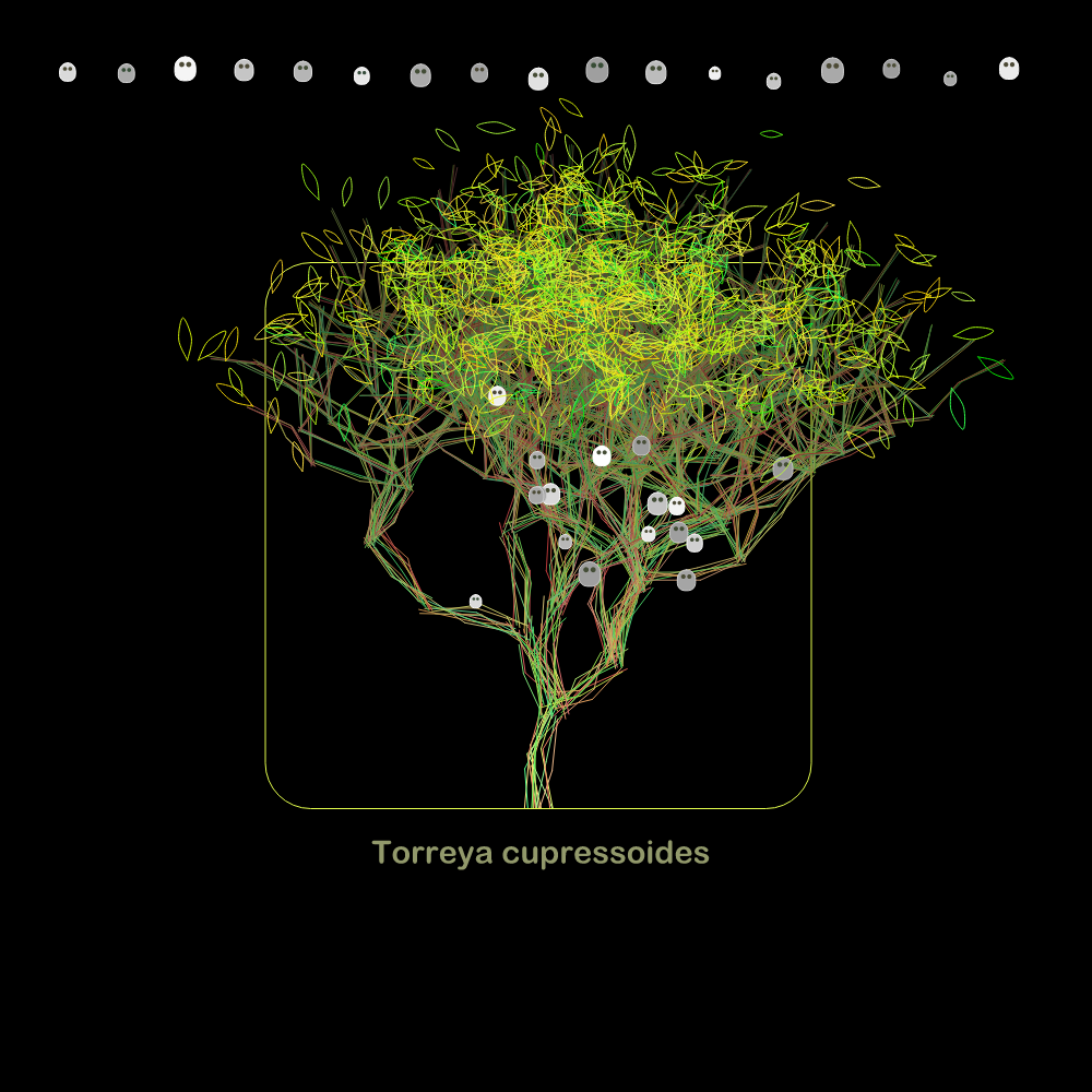 Fluidynamix - Trees #127