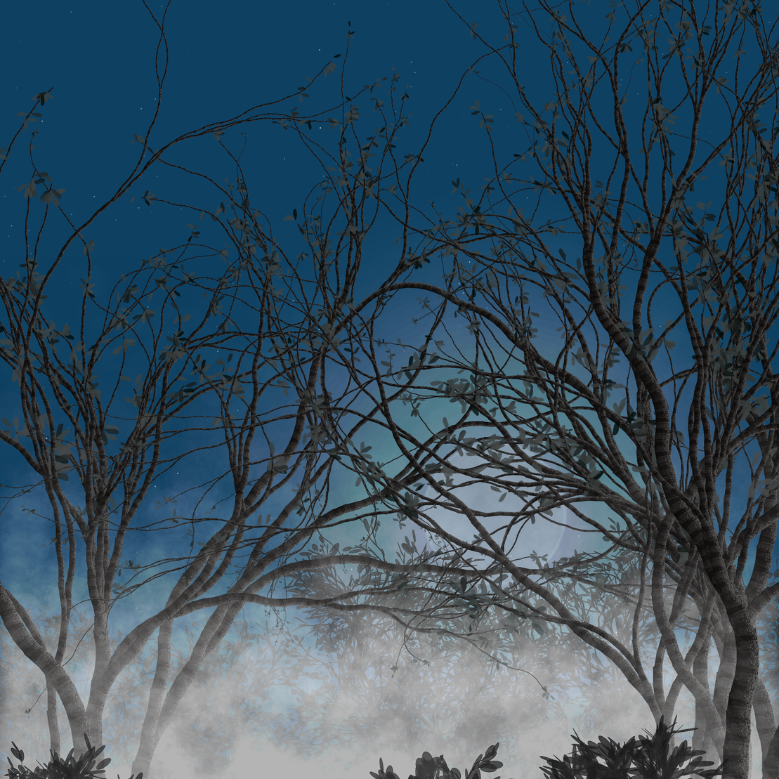 Morning Mist #315