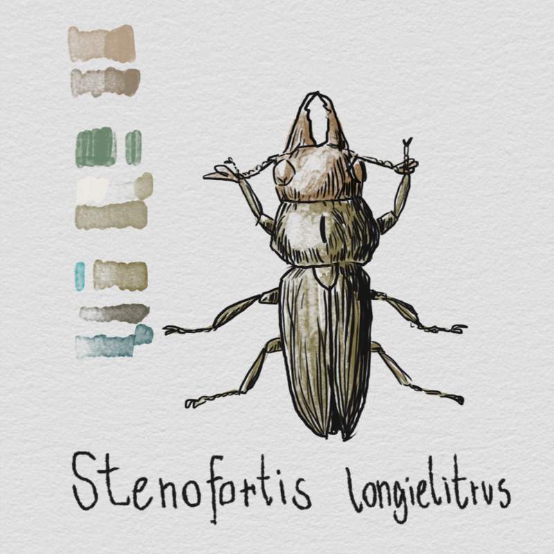 Randomic Fauna1 #49