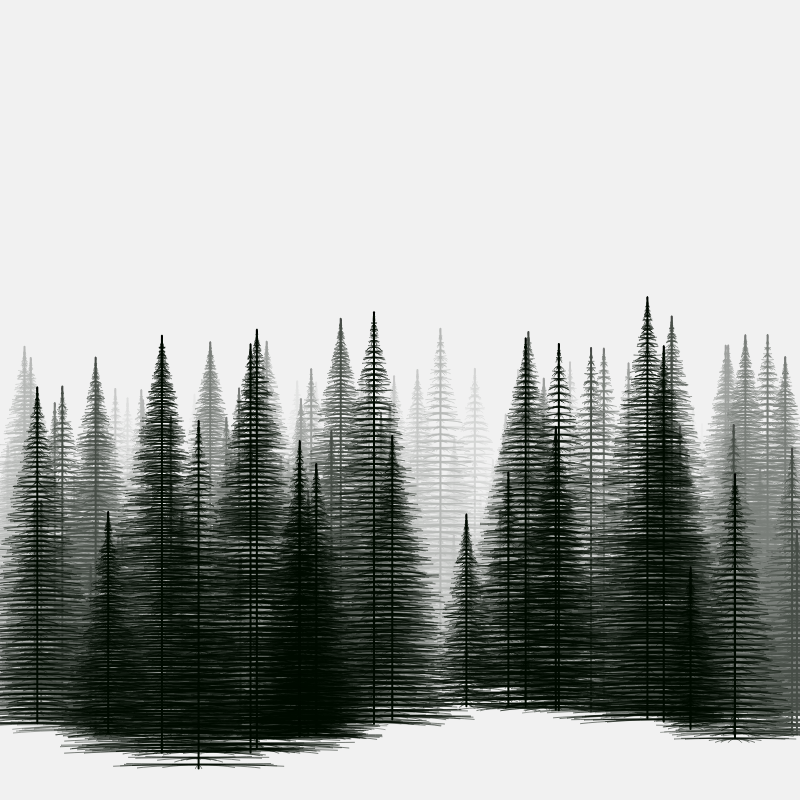 Pine trees in the cold #22