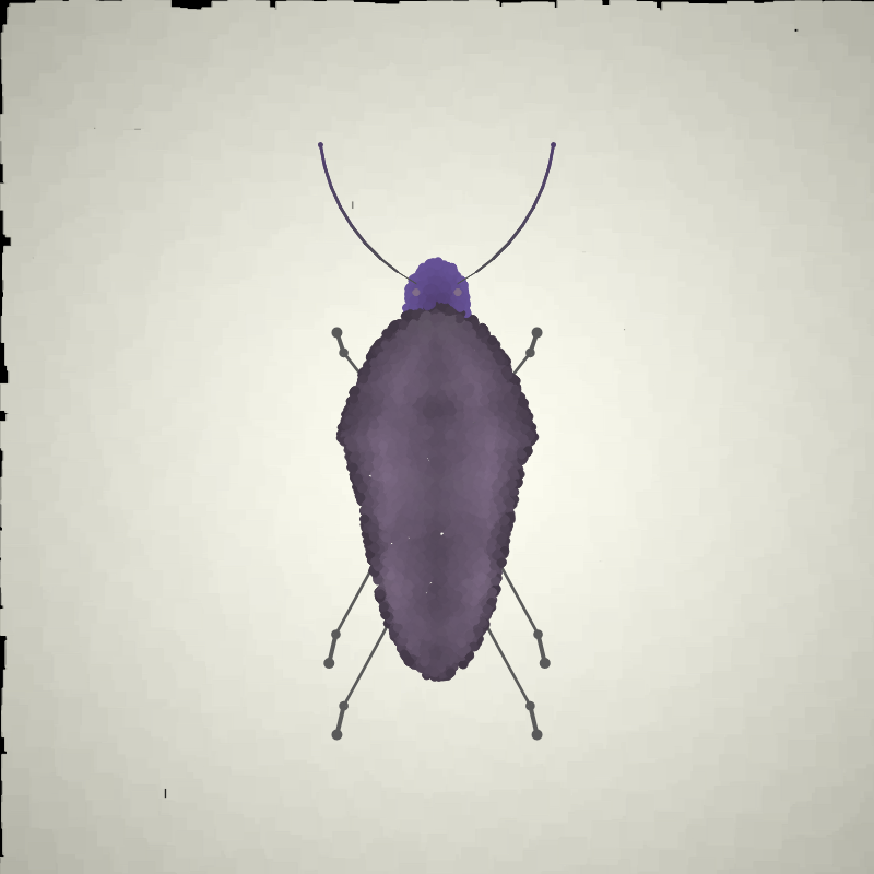 Beetle Sketches #14