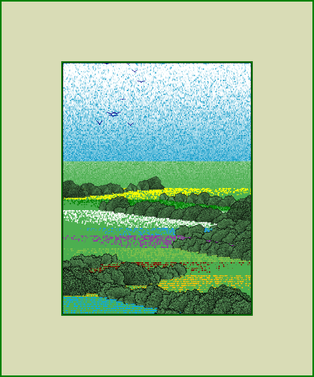 Fields of flowers #11