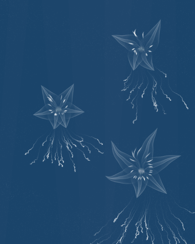 Cyanotypes #154