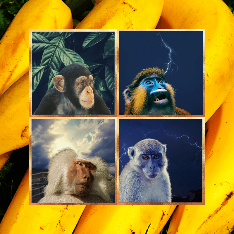 Banana legends #15