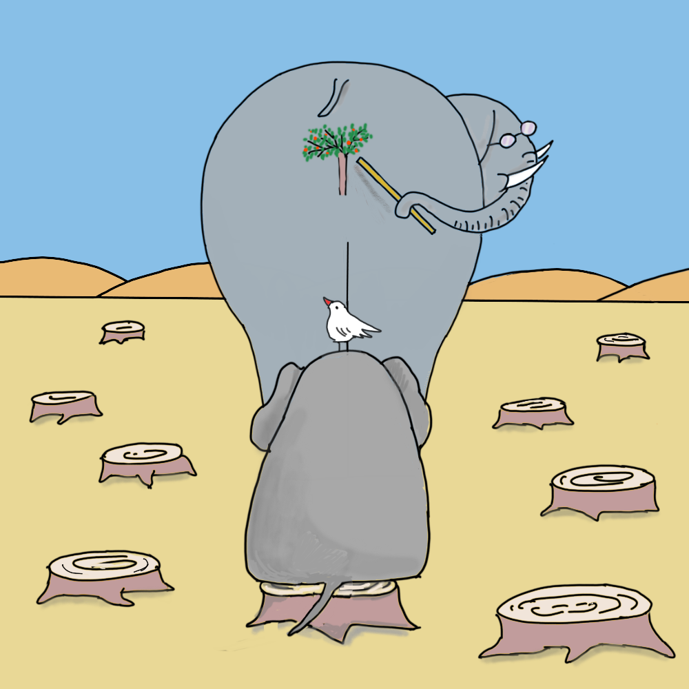 Elephant school #14