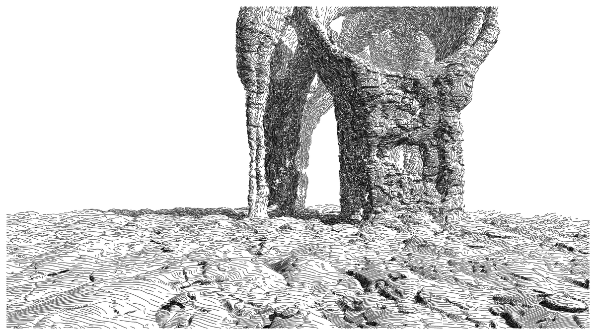 GEOMORPHISM #145