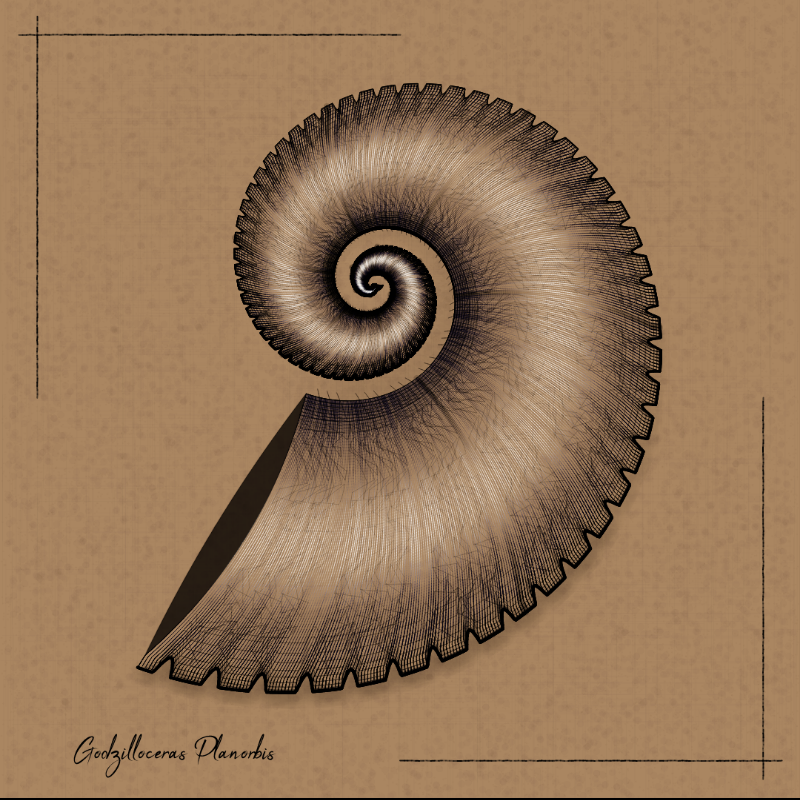 Ammonites #53