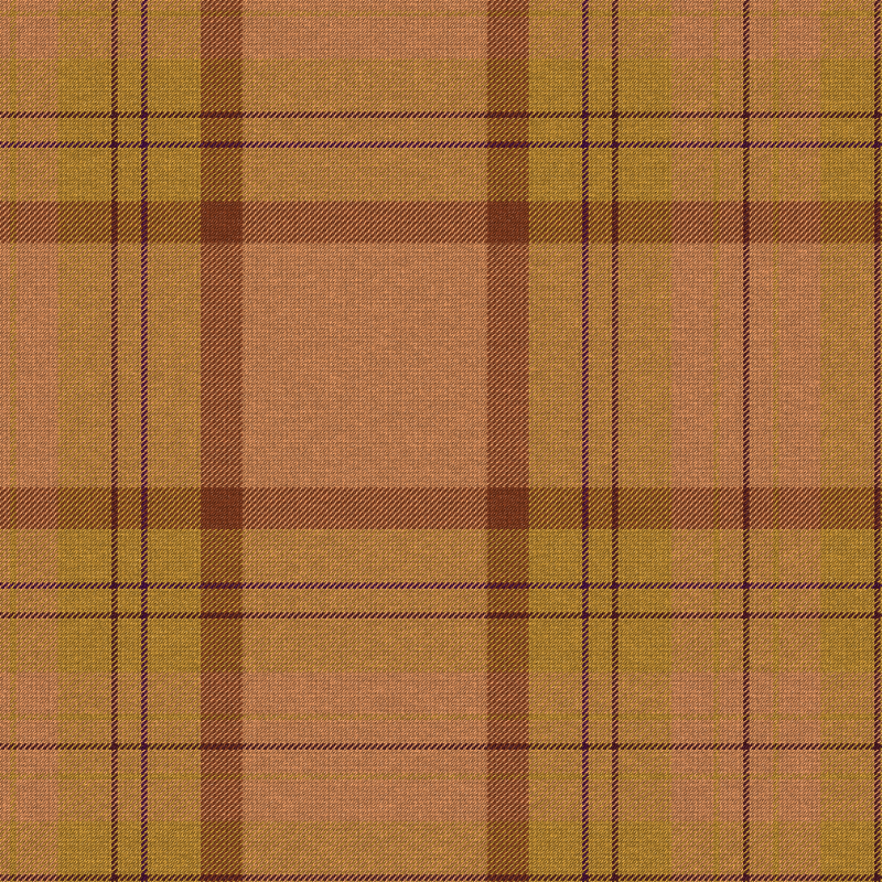 Tartan Cloth #20