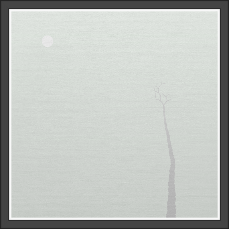 The Foggy Trees #10
