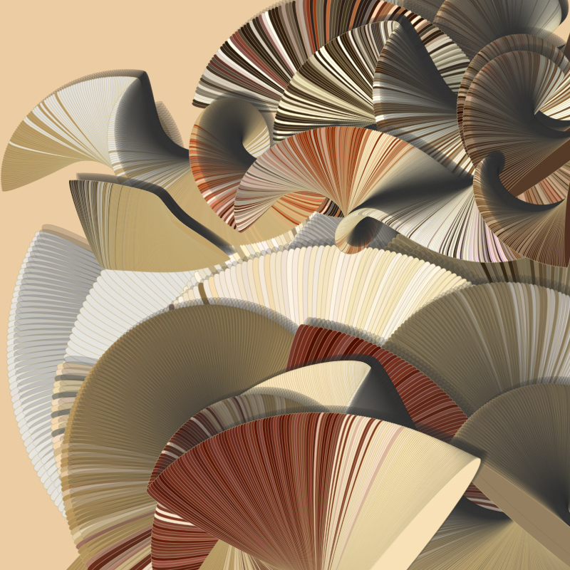Seashells #145