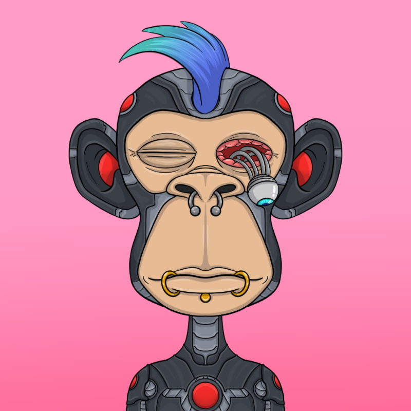 chimpantez #883