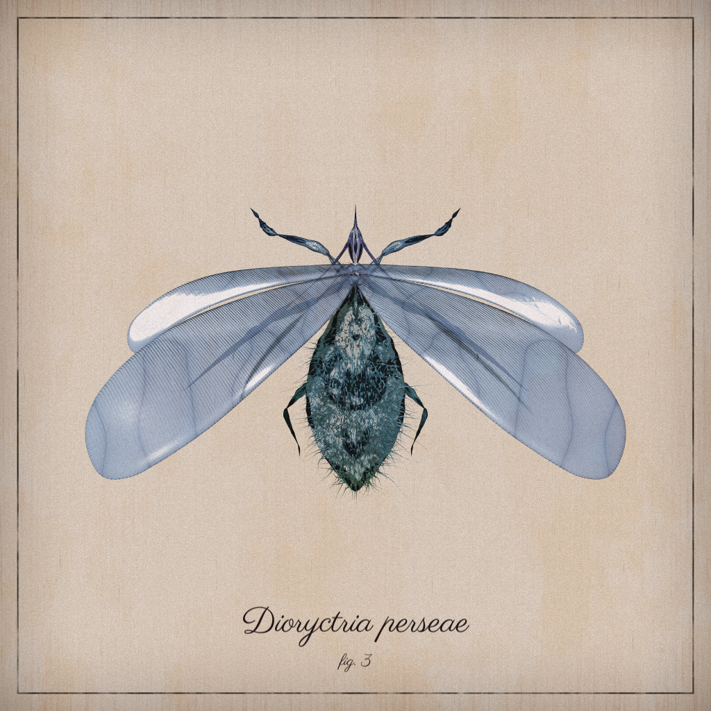 ProcGen Entomology #128
