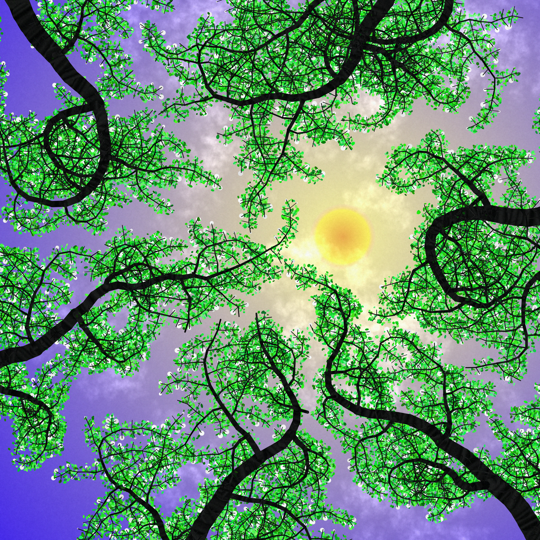 Tree Skyness #39