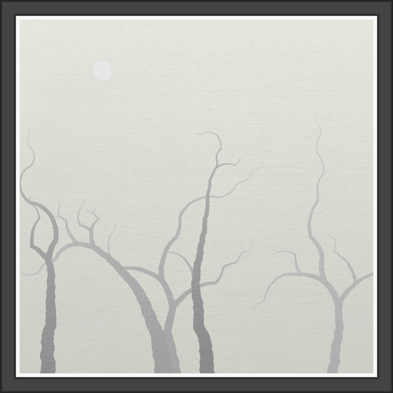 The Foggy Trees #78