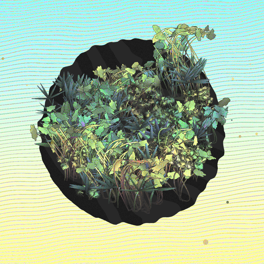 A Gift of Nature #79