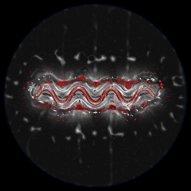 Ethereal Microcosm #169