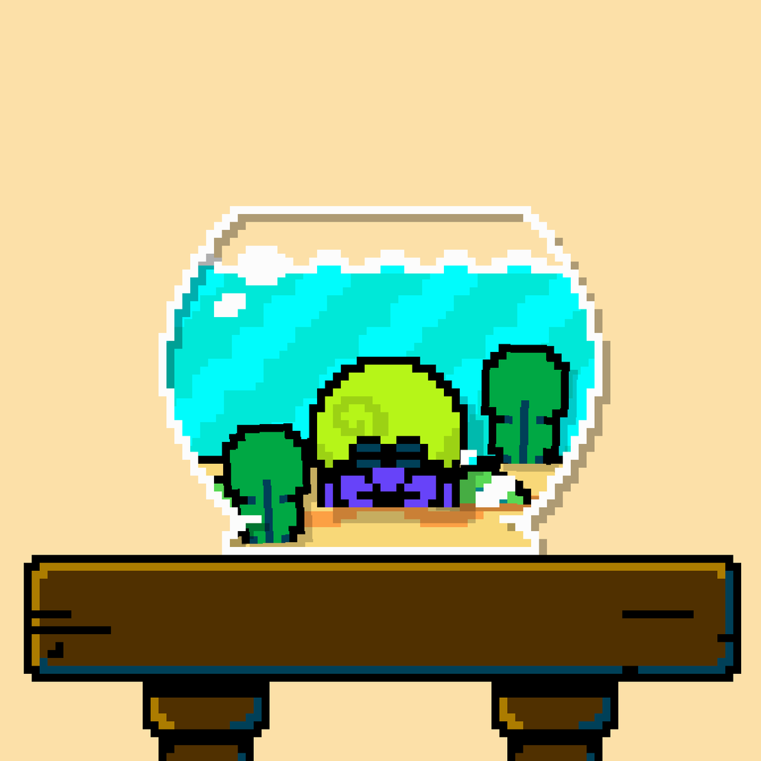 hermit crab #193
