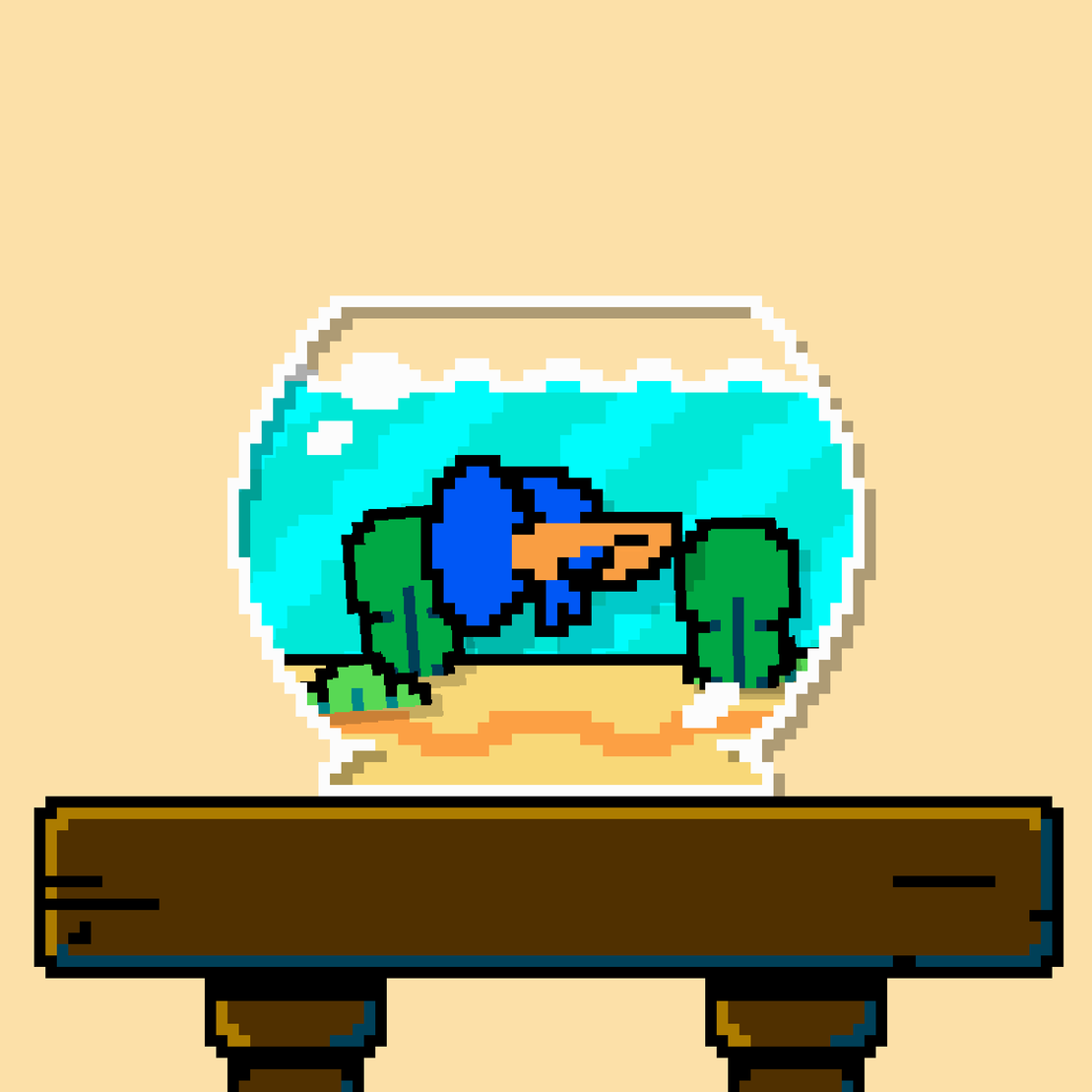 betta fish #82