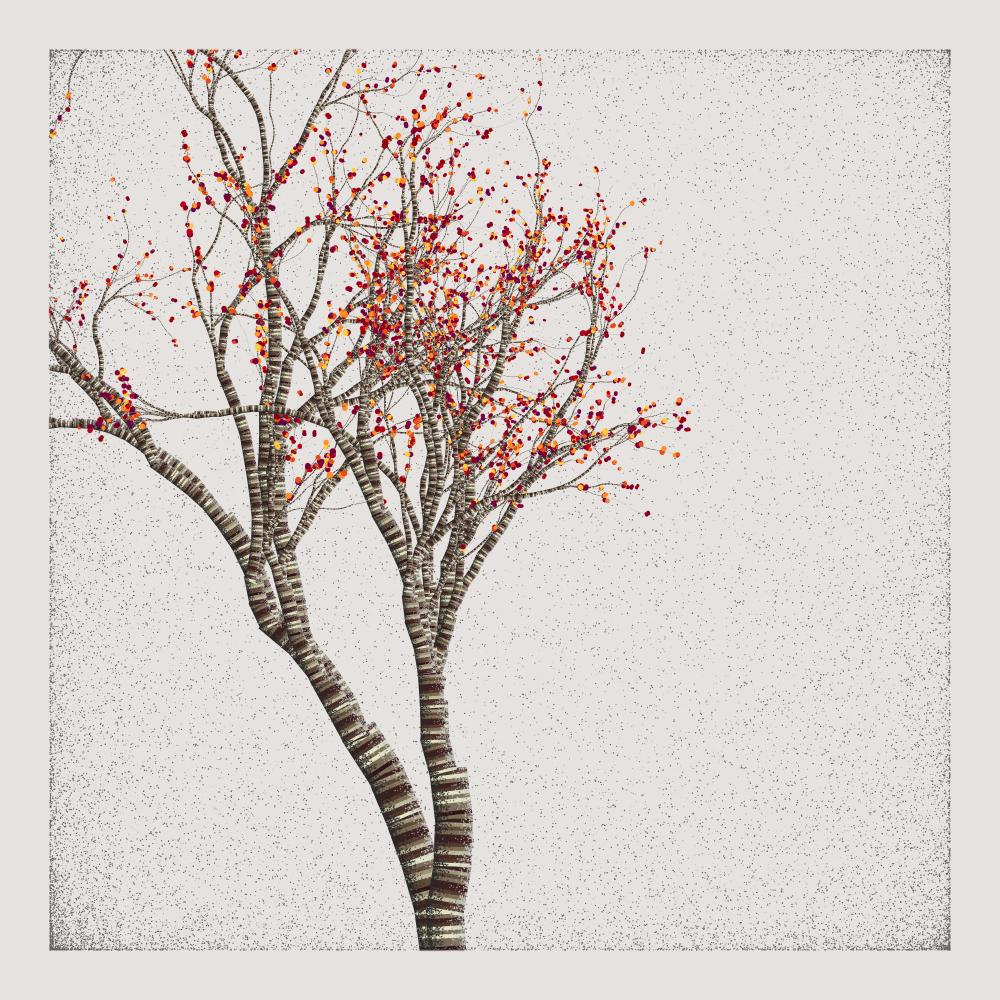 Bougainvillea #11