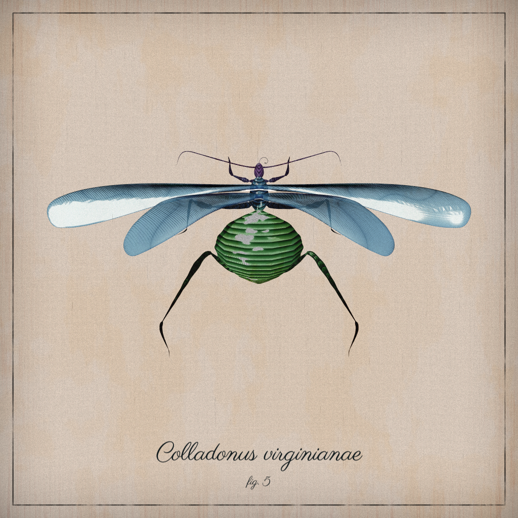 ProcGen Entomology #453