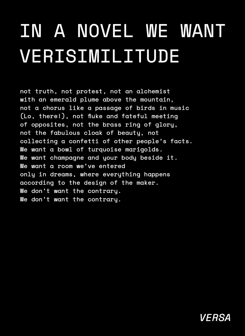 IN A NOVEL WE WANT VERISIMILITUDE