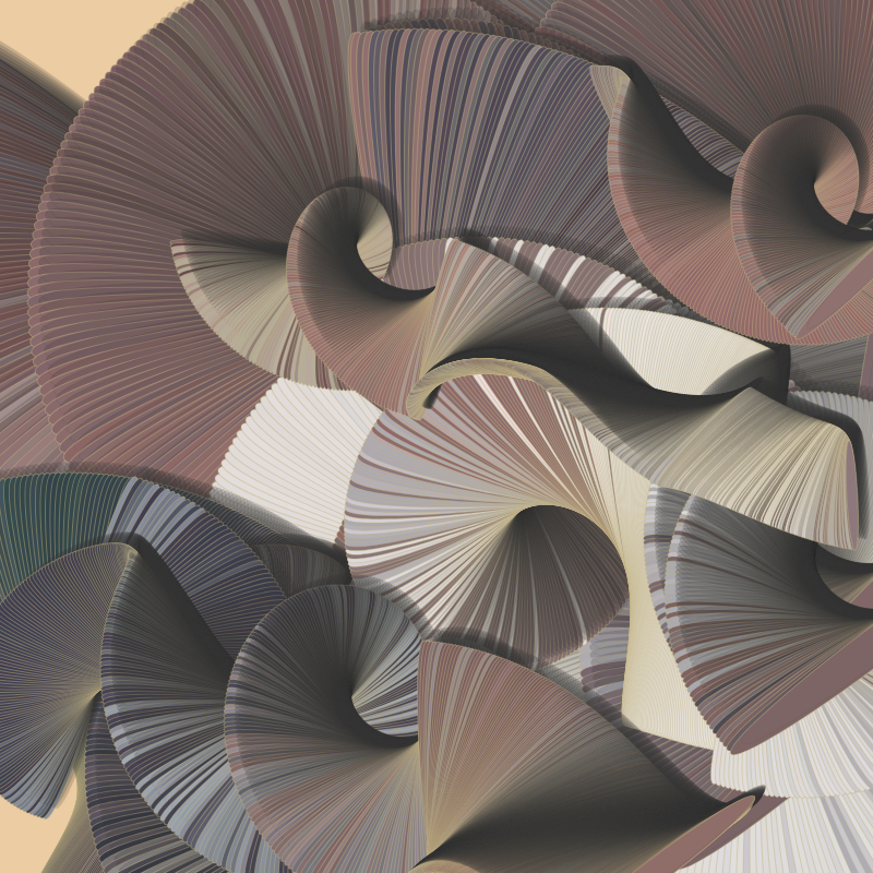 Seashells #13