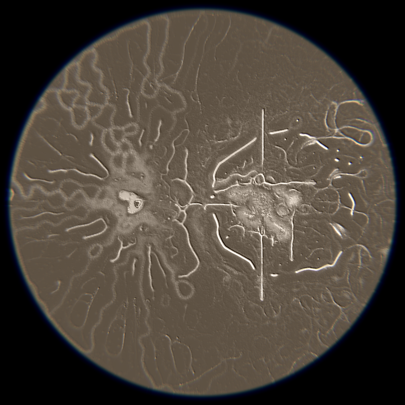 Ethereal Microcosm #283