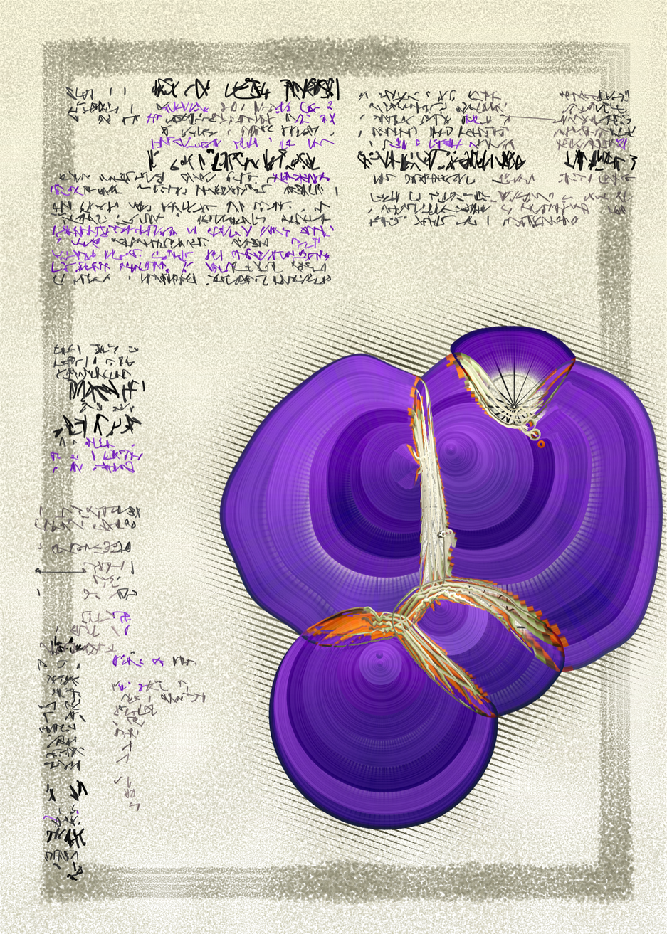 n Forms #22