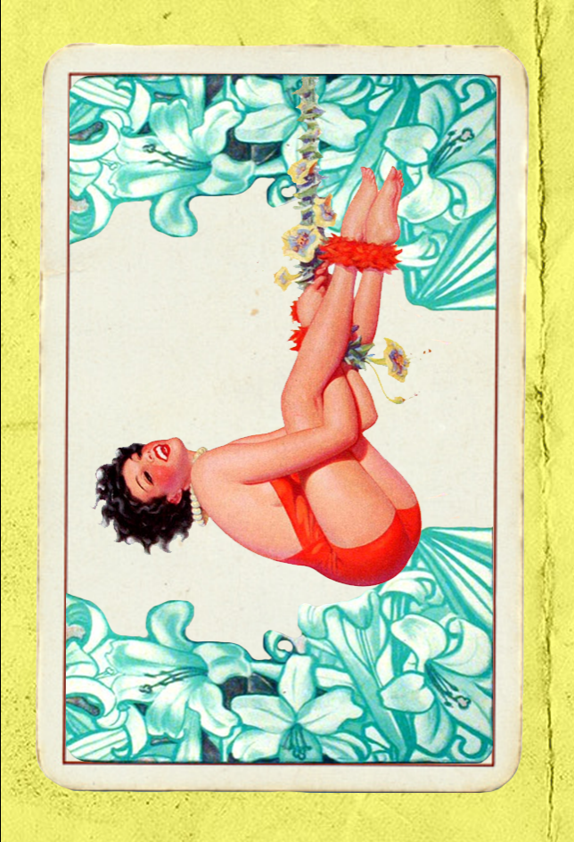 Paper Pinups  #25